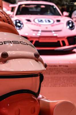 粉色的猪(图虫人文摄影：粉红猪)