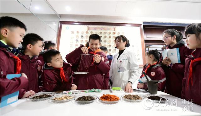 重庆：百名“小华佗”学中医庆佳节