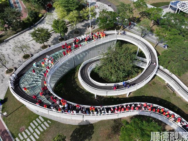 200多人在“百里芳华”伦教精华段耍太极，你来看了吗？