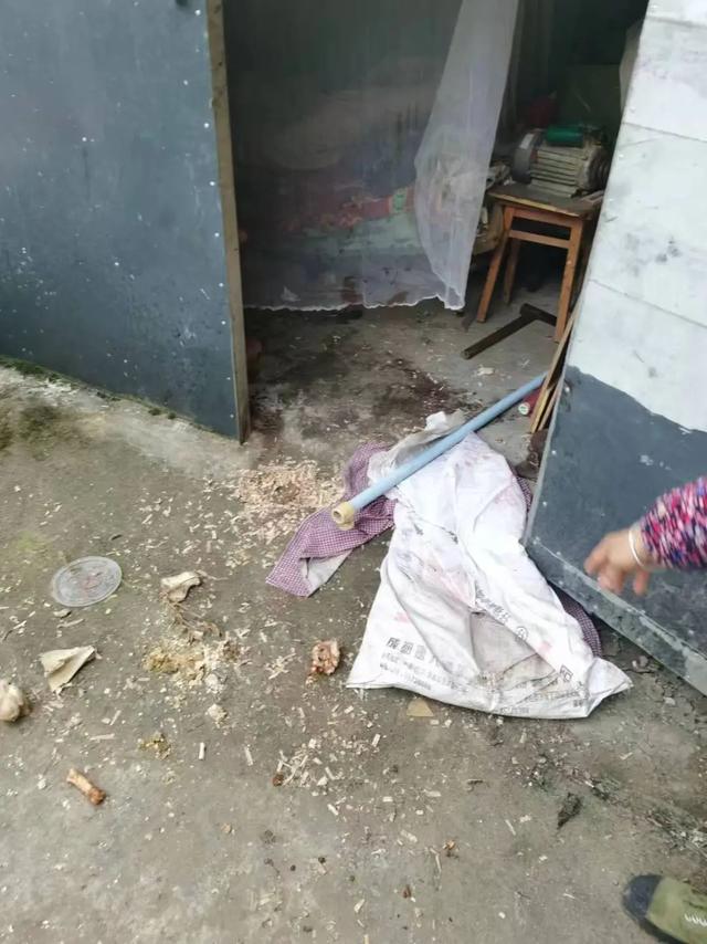 凌晨黑熊闯入四川一村民家中重伤女主人，男主人持斧击杀