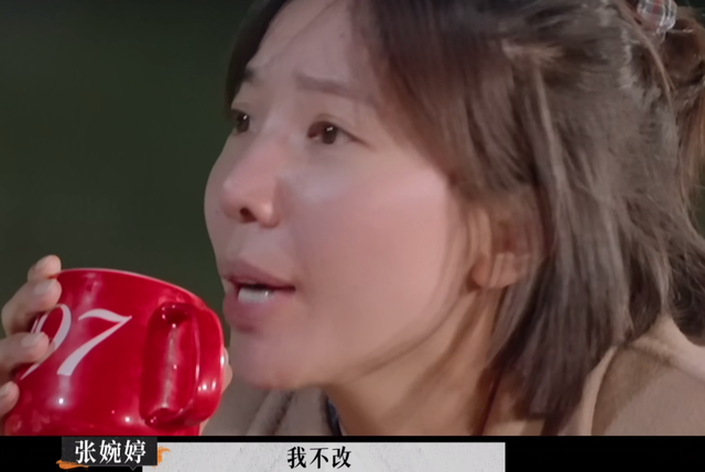 《再见爱人2》：宋宁峰犯了二婚男最致命的错误，难怪张婉婷会疯