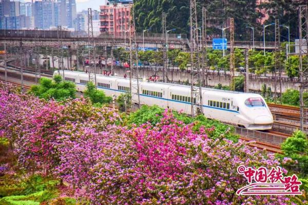 夏日限定火车风景，是浪漫的味道