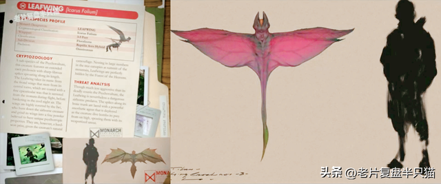 爽片《哥斯拉大战金刚2》19大怪兽盘点，喜欢吃哪个？