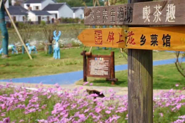 一到秋天，南京就美成了金陵！赏秋大幕已经拉开