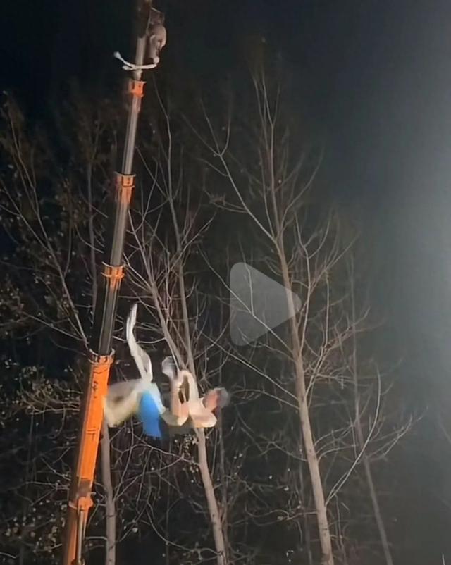 揪心！河南一杂技演员表演时绳子断裂坠落，直播间千人目睹！其妻子曾因杂技表演坠亡