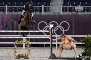 沃洛克(太像奥运会马术场地上的相扑雕塑，把赛马吓坏了)