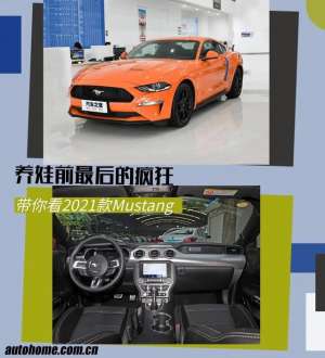跑车照片(Mustang：全球最畅销跑车？299马力+10AT，30多万就能圆梦)