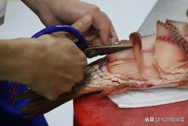 这金毛狮子鱼日售300条，每月营收超百万