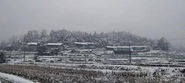 大姐夫的人世间（8）（纪实作品）