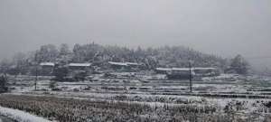 姐夫好大(大姐夫的人世间（8）（纪实作品）)