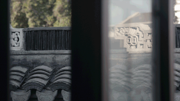 苏州教授一个人住200m²，每天琴棋书画，网友：也太会宅了