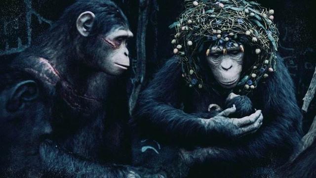 《猩球崛起》三部曲，两大智慧种族碰撞，人类是怎么把自己作没的