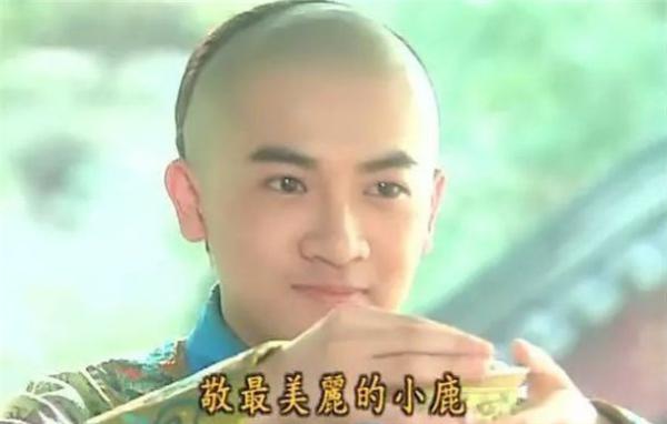 苏有朋，偶像没有花路