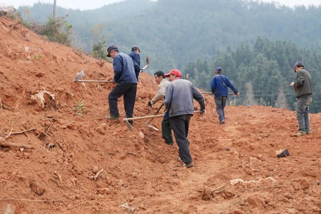 浦城：不误林时   “植”此青绿
