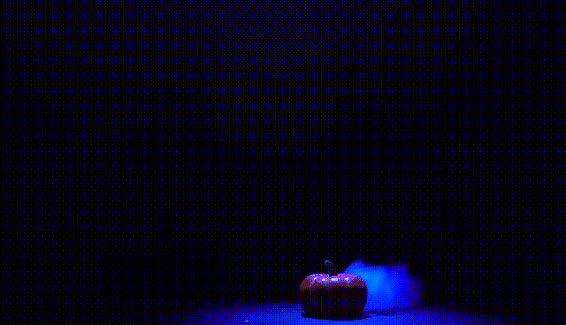 金秋经典∣年末压轴戏，终于轮到我上场