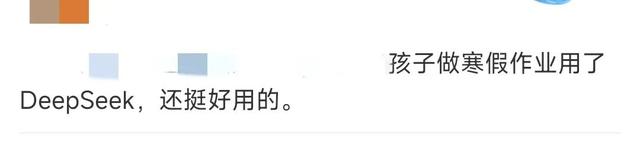 用DeepSeek赶作业是“神助攻”还是“猪队友”?网友吵翻了!