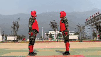 格斗高手速成手册，你值得拥有！