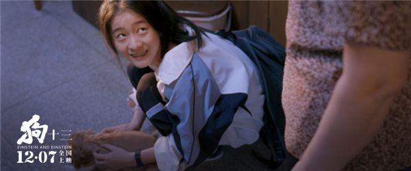 《狗十三》：一条狗引出的隐藏在冰山下的教育真相……