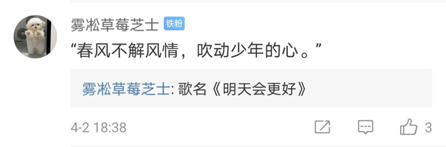 好听！这些歌，就是踏青路上的听觉盛宴