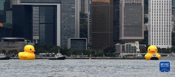 阔别十年 “大黄鸭”再度到港