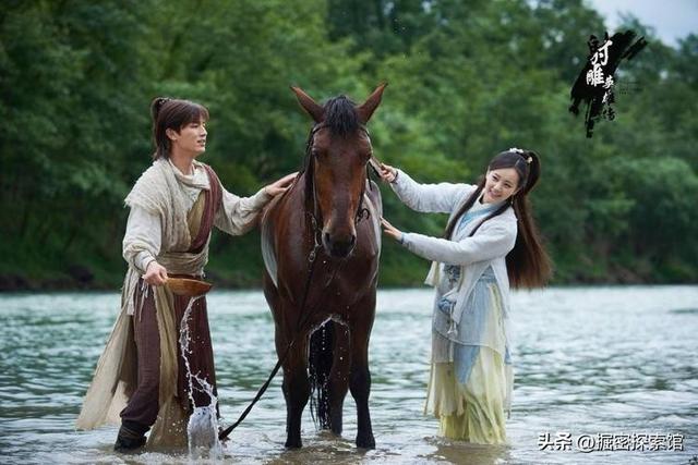 你知道金庸剧中的灵兽谁最强吗？雌雄白雕排在第五，神雕屈居第二