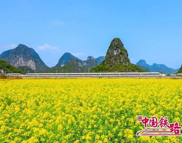 夏日限定火车风景，是浪漫的味道