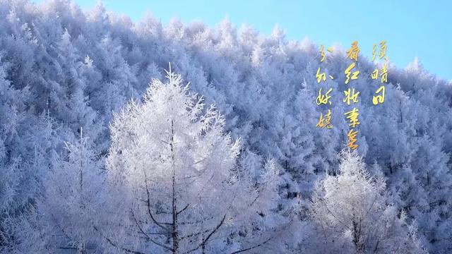 百年耀中华丨时空诵读：《沁园春·雪》
