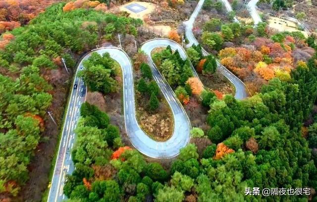 一部27年前的“老司机”日漫，是如何做到红遍二次元和娱乐圈的？