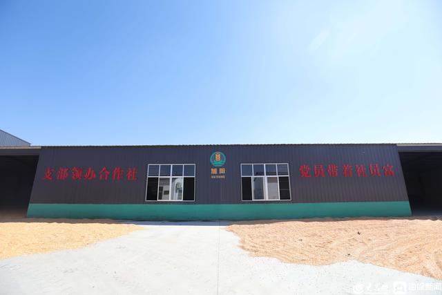 散户聚合增信 沂水合作社实现“三方共赢”