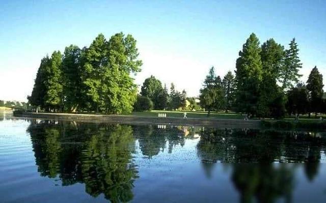 公公照看儿媳不避嫌，故意盯着儿媳哺乳谁不是掀起衣服喂奶？