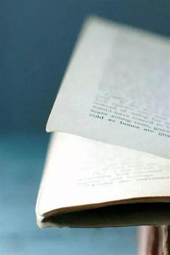 「潍·悦读」爱，是一种遇见