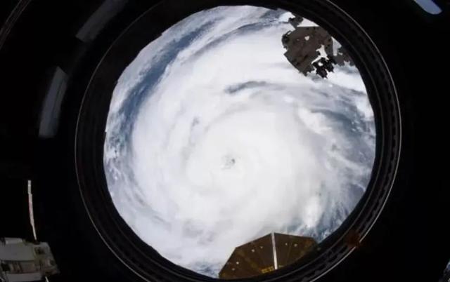 “撤离！”16年后，噩梦再上演......