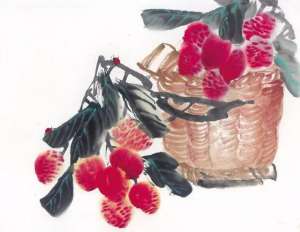 sonner(夏来吃荔枝，好味别多吃)