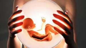 欧美母子乱伦(国外那些毁三观的生育—直系亲属之间的代孕)