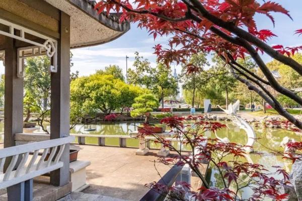 一到秋天，南京就美成了金陵！赏秋大幕已经拉开