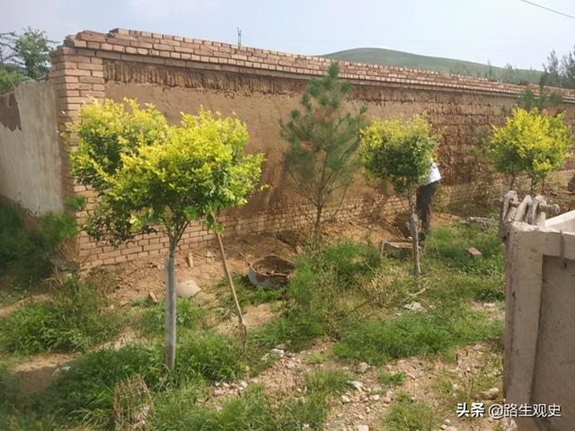 “草包”是怎么来的？在西北有另外的解释，能让人明白活着的道理