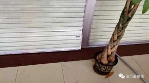 雨衣大盗(价值100多万广西一珠宝店被撬盗现场惊现诡异“雨衣男”……)