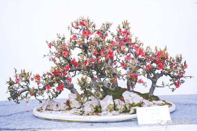 畅享国庆长假 体验绿色乡村游