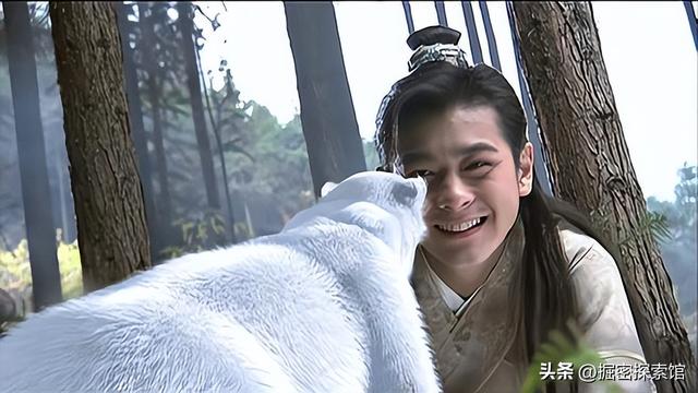 你知道金庸剧中的灵兽谁最强吗？雌雄白雕排在第五，神雕屈居第二