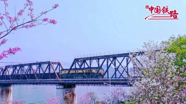 夏日限定火车风景，是浪漫的味道