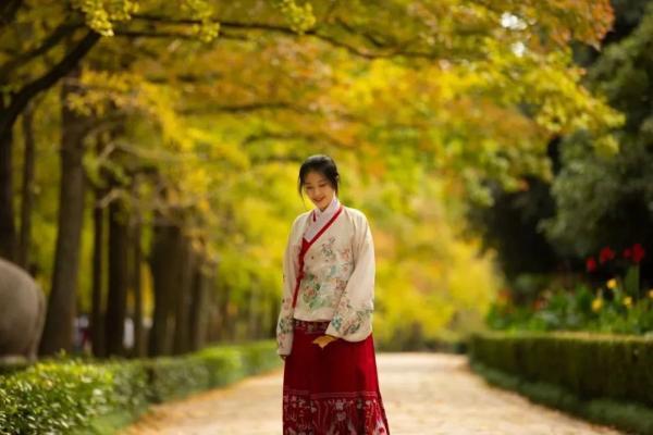 一到秋天，南京就美成了金陵！赏秋大幕已经拉开