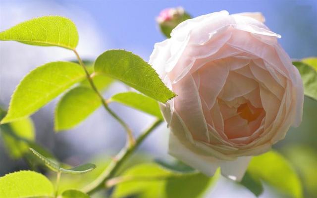 男人对你有这三种反应,就是爱上你了,别不懂