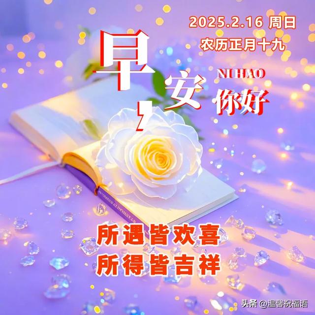 周日早安！群发温馨的早上好问候语创意图片带字，暖心的祝福大全