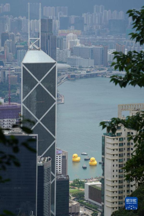 阔别十年 “大黄鸭”再度到港