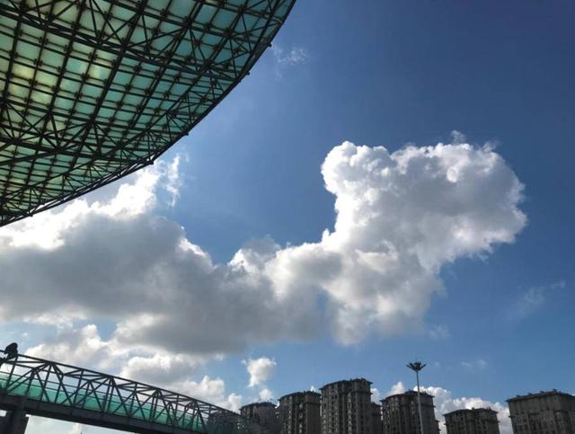 “我和我的家乡”摄影大赛|山东政法学院杨静怡:共迎家乡之变