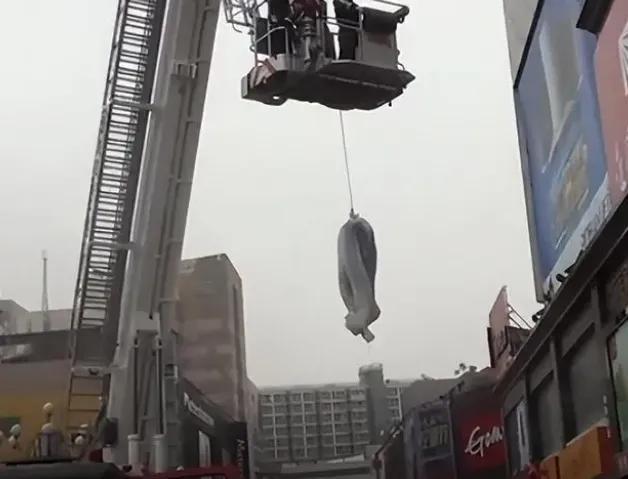 2015年郑州二七广场墙缝女尸案，清纯画家成为情妇，案件至今未破