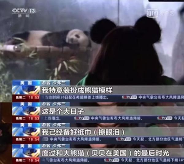 三千宠爱于一身！美国“迷妹”含泪不舍