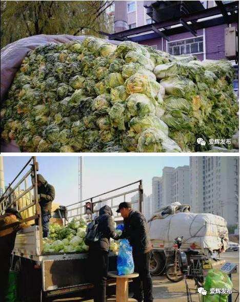 “翠花”上的为啥是酸菜？让东北人告诉你！