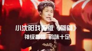 神翻唱(小沈阳神级翻唱《翩翩》，韵味十足)
