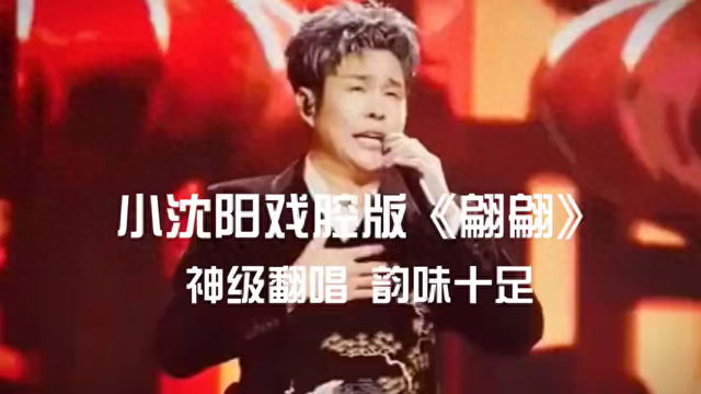 小沈阳神级翻唱《翩翩》，韵味十足！
